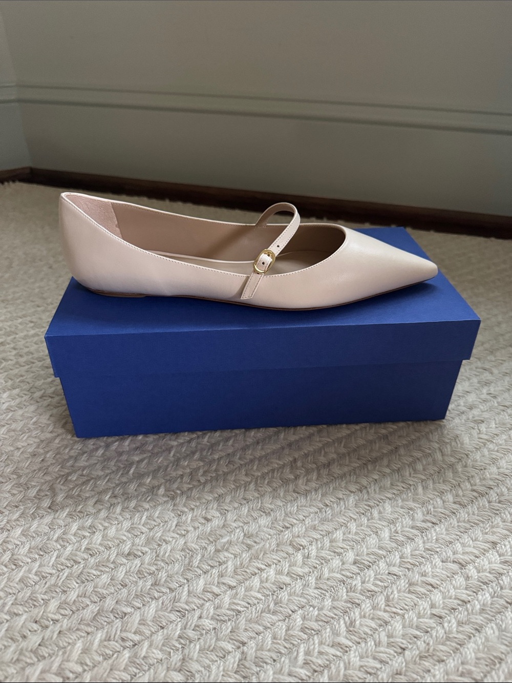 Never Worn NWT Stuart Weitzman Emilia Mary Jane Flat